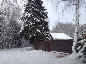 Заборы на участках. Земля в Дмитровском районе.