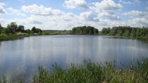 Вид на водохранилище. Земельные участки по Дмитровскому шоссе.